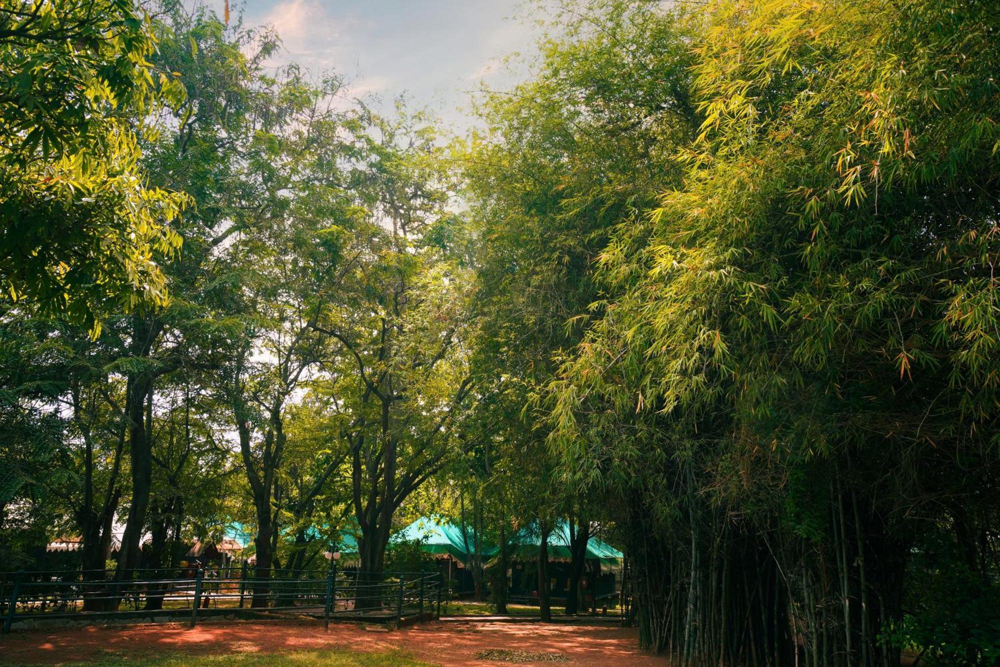 Olde Bangalore Resort And Wellness Center Devanahalli エクステリア 写真